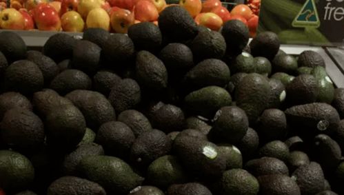 澳洲牛肉價格將上漲，果蔬價格有望下跌 市場波動背后的原因與展望